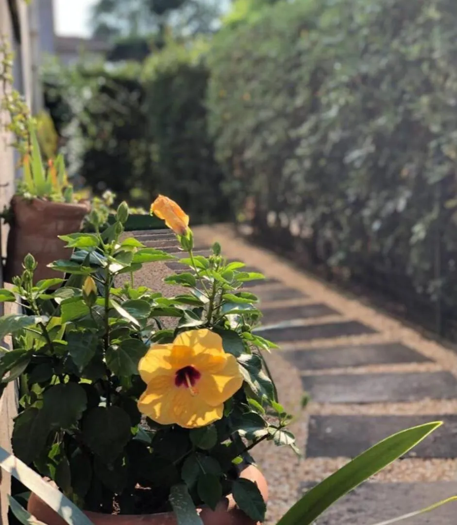 Incantevole, Casa Annetta 800 Mt Dal Mare Viareggio 0*,
