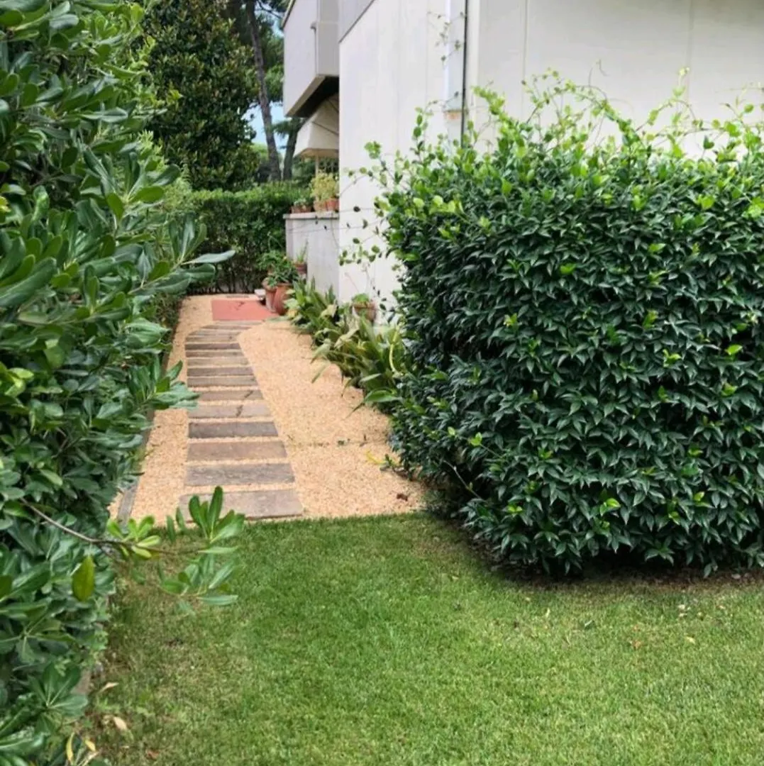 Apartamento Incantevole, Casa Annetta 800 Mt Dal Mare Viareggio